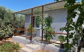 Vine Veranda