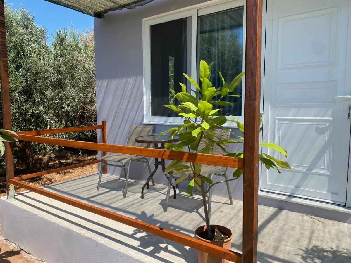Vine Veranda Paleóchora Extérieur photo